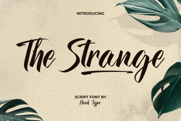 The Strange: A Brush Script with Classic Sophistication