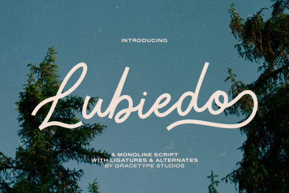 Unlock Timeless Charm with Lubiedo